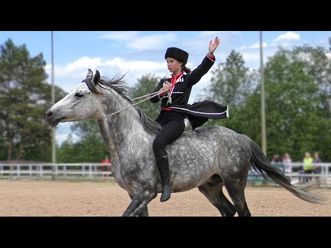 Видео: Легенды Тысячи Терцев #ИППОсфера 2022 джигитовка, терские лошади