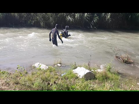 Видео: Поиски продолжаются, ищут солдаты, водолазы с лодкой, поиски по улицам и зарослям