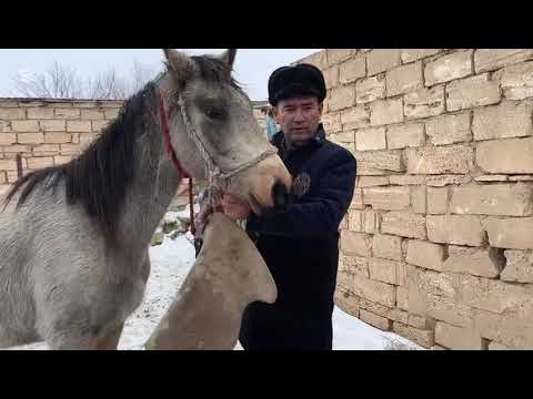 Видео: "Шебер әке, өнерлі ана, еңбекқор бала" байқауы. Жетекшісі: Мисаева А.Б.