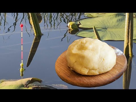 Видео: Ловлю карася на ТІСТО. Рибалка в густому лататті.