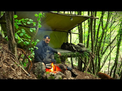Видео: Дикий кемпинг в горном лесу - приют для выживания Bushcraft, рыбалка на ручье