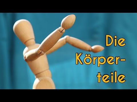 Видео: Die Körperteile | Частите на тялото на немски език