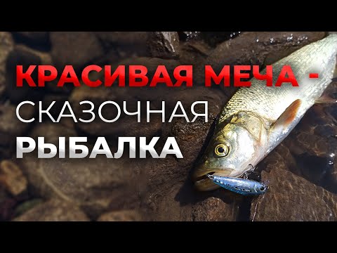 Видео: Красивая Меча - сказочная рыбалка