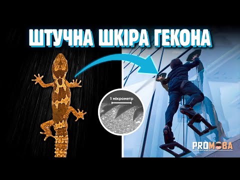 Видео: МАТЕРІАЛ, ЩО ДОЗВОЛЯЄ ЛАЗИТИ ПО СТІНАХ 🦎 [VERITASIUM]