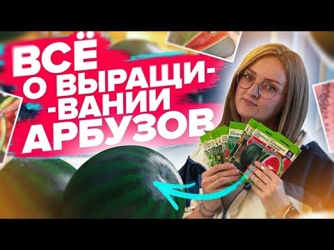 Видео: У ВАС ТОЧНО ВЫРАСТЕТ АРБУЗ! Все о выращивании арбузов