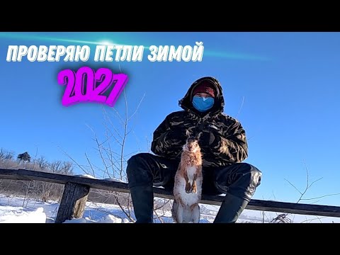 Видео: Проверка петель на зайца 2021