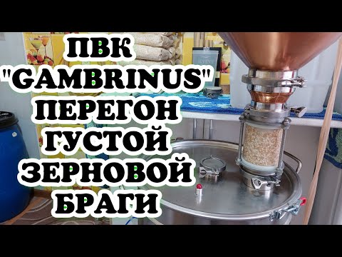 Видео: Перегон густой браги из зерна на ПВК "Гамбринус"