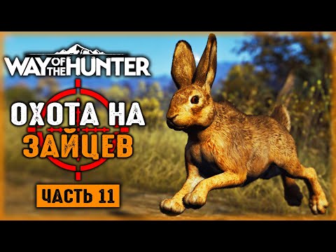 Видео: ОХОТА НА ЗАЙЦА-РУСАКА! ОХОТА В ТРАНСИЛЬВАНИИ! | Way of the Hunter 🐻 | Часть #11