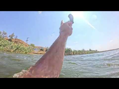 Видео:  Клюнув Короп затягнув аж в воду