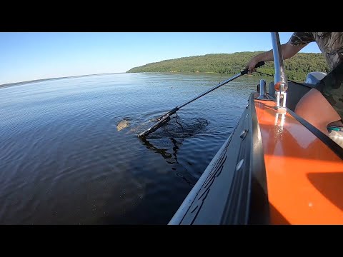 Видео: Ловля на БАНКУ - эффективный и простой способ поймать много ЛЕЩА!