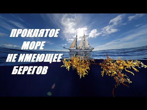 Видео: Море , не имеющее берегов .Самое большое море в мире. Саргассово море