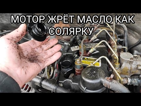 Видео: ЭНДОСКОПИЯ САПУНЯЩЕГО МОТОРА Cummins