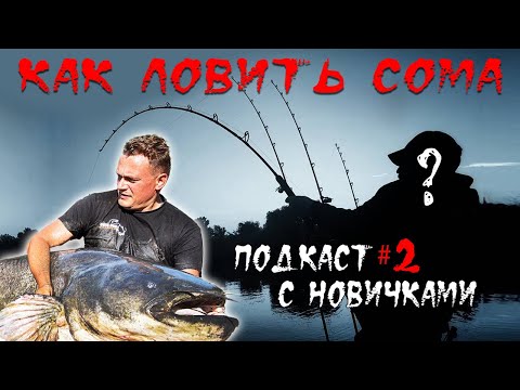Видео: 🎙️ Подкаст #2: Рыбалка на сома для начинающих! Виталий Дальке о соме от А до Я 🎣