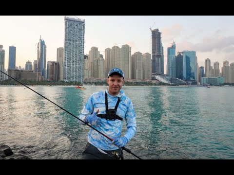 Видео: Рыбалка в  ДУБАЙ среди небоскребов! Стритфишинг в Дубае 2020