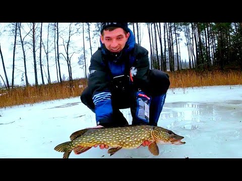 Видео: НАШЁЛ ЛОГОВО КРУПНЫХ ЩУК!! РЫБАЛКА НА ЖЕРЛИЦЫ 2024.ЗИМНЯЯ РЫБАЛКА НА ЩУКУ.
