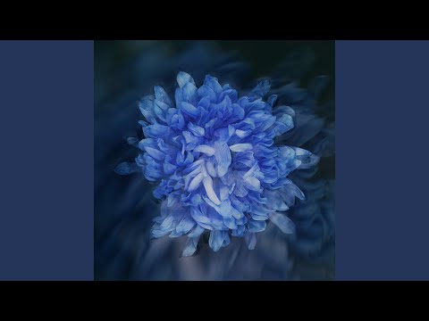 Видео: Нелюбимая