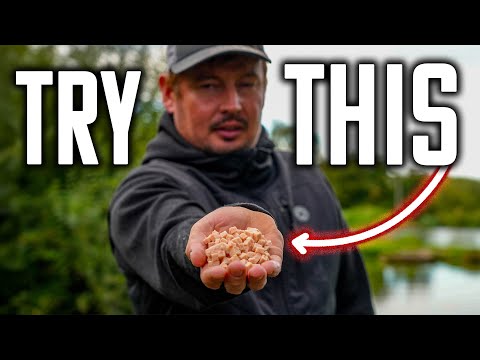 Видео: НЕ ИГНОРИРУЙТЕ эту приманку осенью