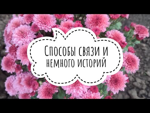 Видео: Способы связи на Авито и немного историй