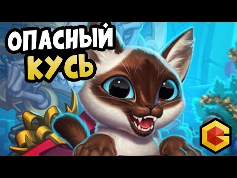 Видео: Hearthstone - Gruve Побеждает на Топовых Сборках