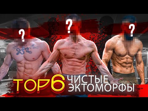 Видео: ТОП 6 | Фитнес-Блогеры Чистые Эктоморфы! (Характеристики Эктоморфа)