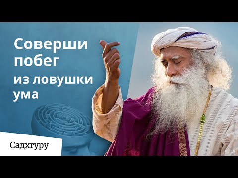 Видео: Психологическая ловушка. Есть ли выход?