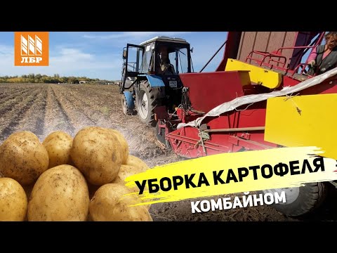 Видео: Улучшенный картофелеуборочный комбайн ККУ-1. Что изменилось?