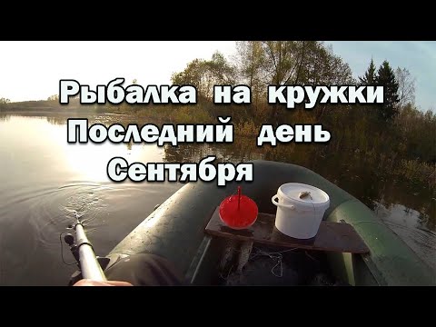 Видео: Рыбалка на кружки в Сентябре