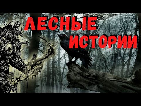 Видео: ЛЕСНЫЕ РАССКАЗЫ | Страшные истории