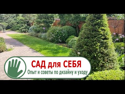 Видео: Видео журнал "СОФ №101"  САД для СЕБЯ. Опыт и советы по дизайну и уходу