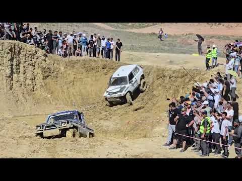 Видео: 12 мая 2025 г.