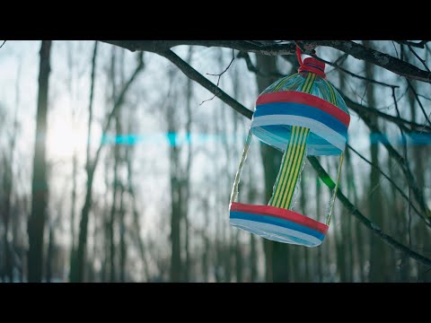 Видео: Что с каналом | Прокрастинация | Sirui 50mm T2.9
