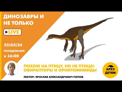 Видео: Занятие "Овирапторы и орнитомимиды" кружка "Динозавры и не только" с Ярославом Поповым