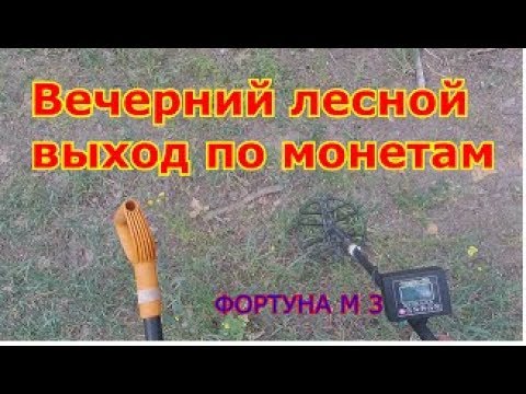 Видео: Фортуна м 3 Вечерний лесной выход по монетам №158