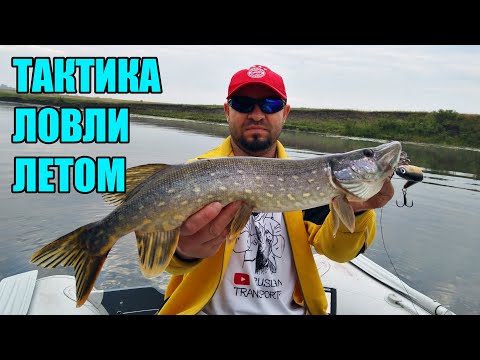 Видео: Где искать щуку летом? Цвет приманки на щуку летом.