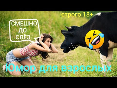 Видео: Смешные😂Smile😂Подборка весёлых видео😂Prank😂Я ржал до слёз 😂10 мин юмора😂Лучшие #приколы 😂