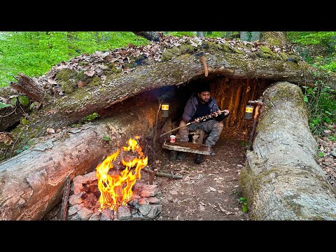 Видео: Строительство естественного убежища внутри большого ДЕРЕВА — кемпинг Bushcraft SURVIVAL