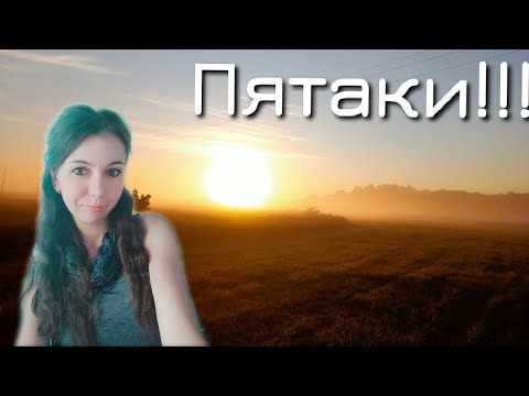 Видео: Коп 2020. Они попадались, один за другим!