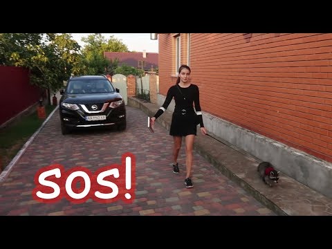 Видео: VLOG Лимон застрял в унитазе