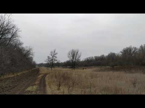 Видео: Заяц на 1.30