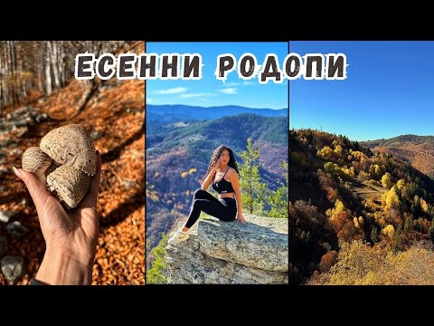 Видео: ВЛОГ | ЕСЕННИ РОДОПИ - СМОЛЯНСКИ ВОДОПАД, ЧУДНИТЕ МОСТОВЕ + НОВИ НАХОДКИ