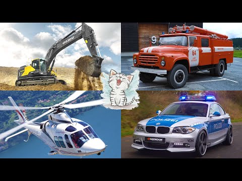 Видео: Учим машинки и звуки транспорта для детей. Викторина