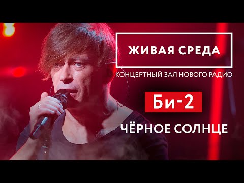 Видео: БИ-2 — Черное Солнце // Живой звук на Новом Радио