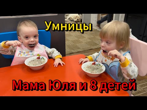Видео: Лопают сами