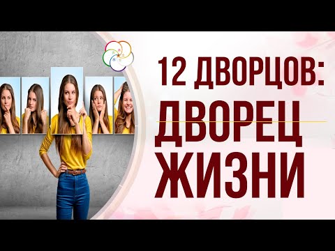Видео: БАЦЗЫ: 12 Дворцов СУДЬБЫ. Дворец ЖИЗНИ в карте Бацзы человека