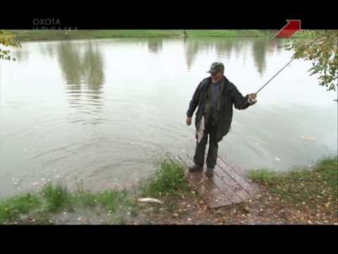 Видео: Советы бывалых. Ловим форель. Эксперимент со снастями. Охота и рыбалка