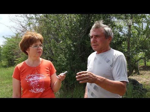 Видео: Оазис фермера Константина Маджара