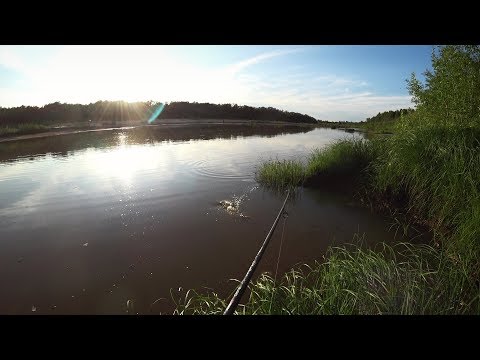 Видео: На рыбалку на тракторе. Попали на ЖОР окуня.