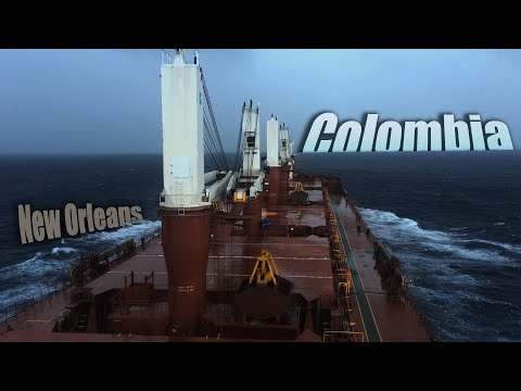 Видео: Новый Орлеан - Колумбия. Роковая ошибка пчёл / Passage New Orleans - Colombia. Fatal Bees mistake