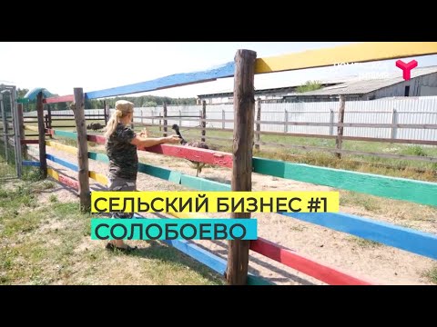 Видео: Сельский Бизнес #1  Солобоево