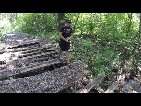 Видео: Страшная находка в лесу 2 /Труп исчез!/